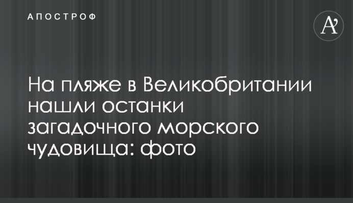 На пляже в Великобритании нашли останки загадочного морского чудовища: фото