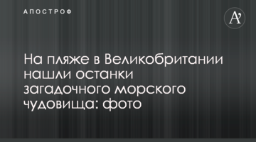 На пляже в Великобритании нашли останки загадочного морского чудовища: фото