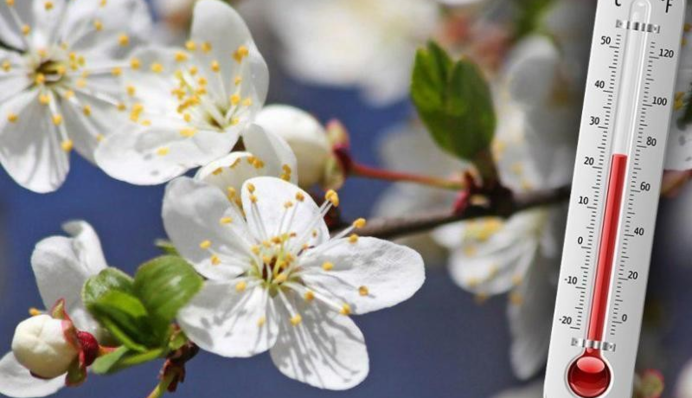 В Украине будут прохладная весна, знойное лето и ранний снег: прогноз синоптика до конца 2021 года