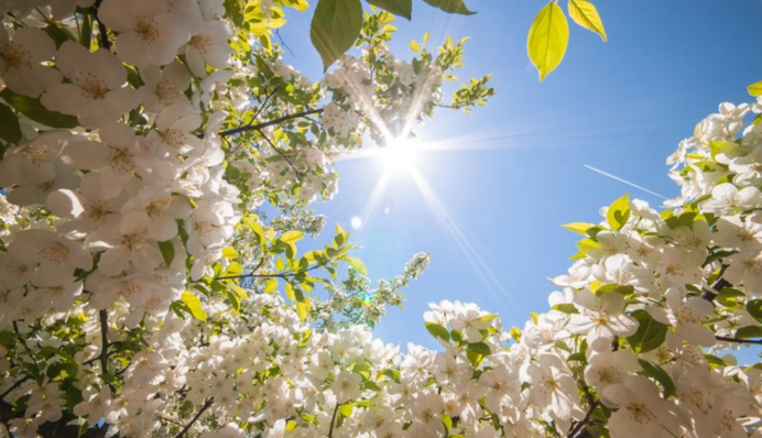 Україну накриє різке похолодання, дощі та сніг: синоптик розповіла, де буде найгірше