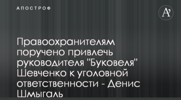 Правоохранителям поручено привлечь руководителя "Буковеля" Шевченко к уголовной ответственности - Денис Шмыгаль
