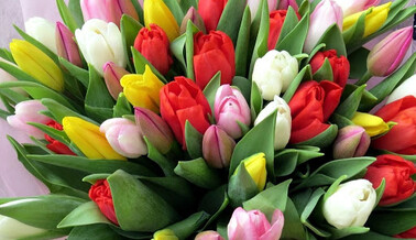 Международный женский день 2021: красивые поздравления для коллег