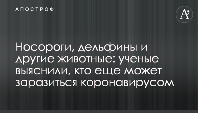 Носороги, дельфины и другие животные: ученые выяснили, кто еще может заразиться коронавирусом