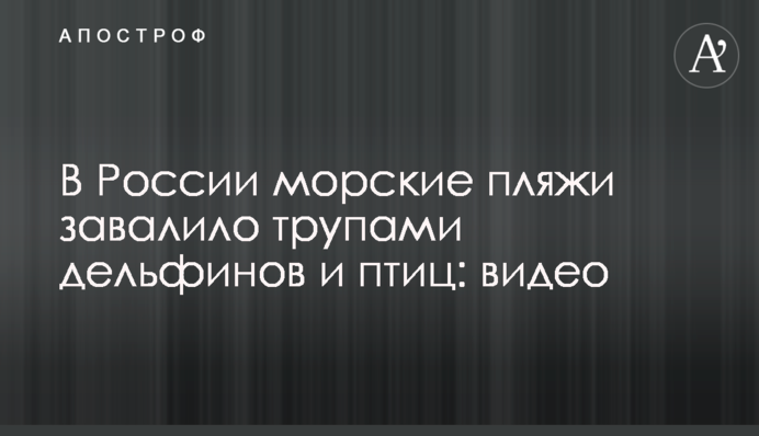В России морские пляжи завалило трупами дельфинов и птиц: видео