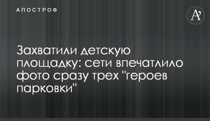 Захватили детскую площадку: сети впечатлило фото сразу трех 
