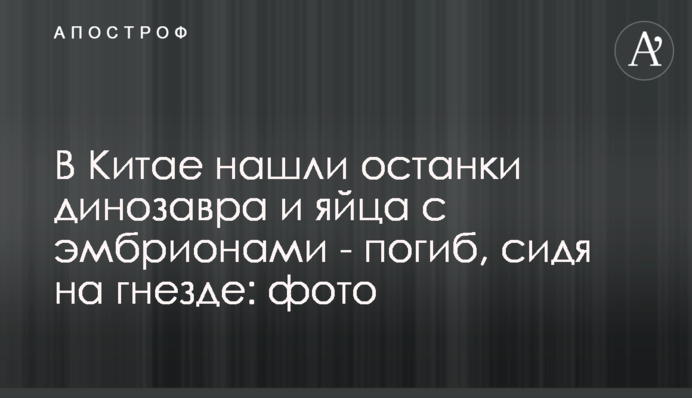 В Китае нашли останки динозавра и яйца с эмбрионами - погиб, сидя на гнезде: фото