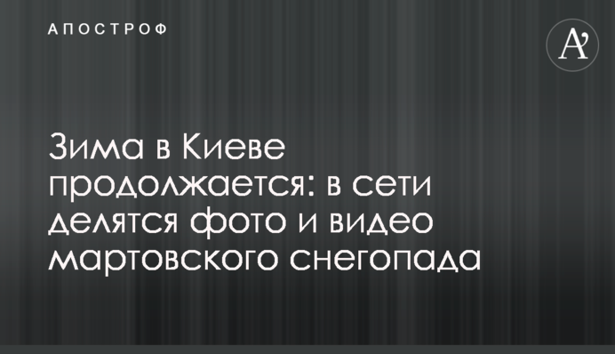 Зима в Киеве продолжается: в сети делятся фото и видео мартовского снегопада