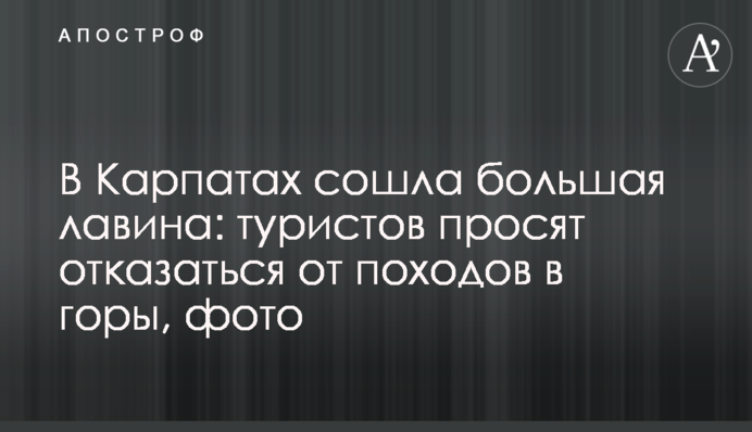 В Карпатах сошла большая лавина: туристов просят отказаться от походов в горы, фото