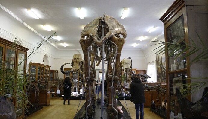 В Україні знайшли останки величезної доісторичної тварини: фото