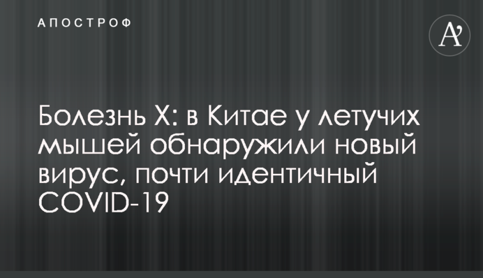 Болезнь X: в Китае у летучих мышей обнаружили новый вирус, почти идентичный COVID-19