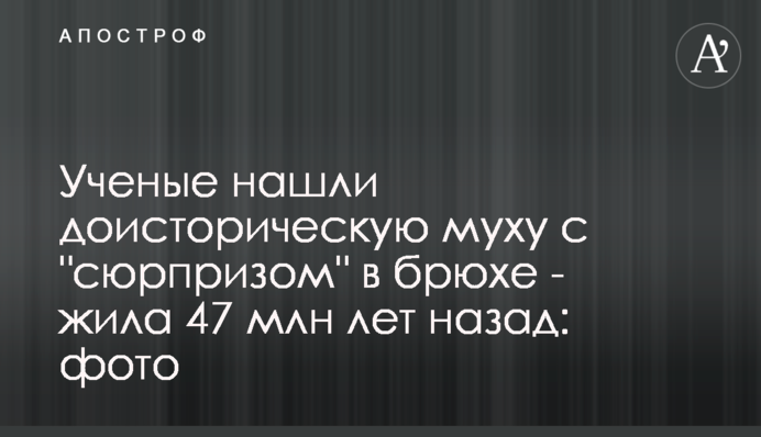 Вчені знайшли доісторичну муху з 