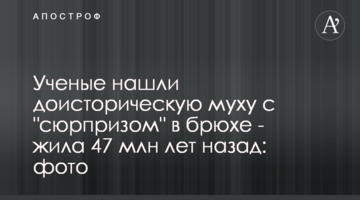 Ученые нашли доисторическую муху с "сюрпризом" в брюхе - жила 47 млн лет назад: фото