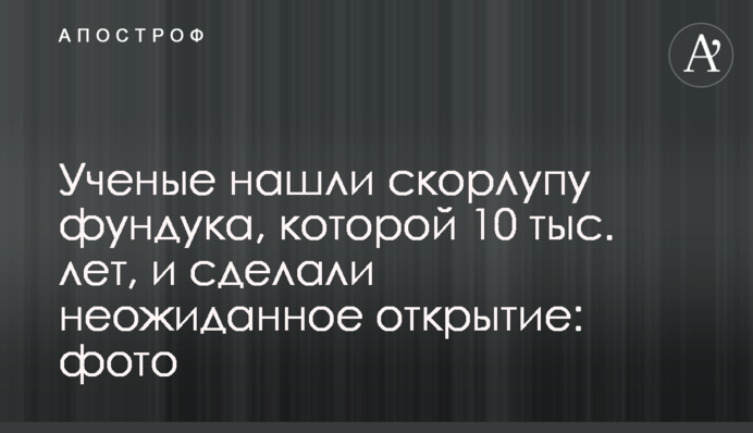 Вчені знайшли шкаралупу фундука, якій 10 тис. років, і зробили несподіване відкриття: фото