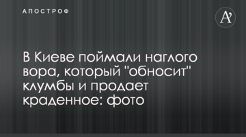 В Киеве поймали наглого вора, который "обносит" клумбы и продает краденное: фото