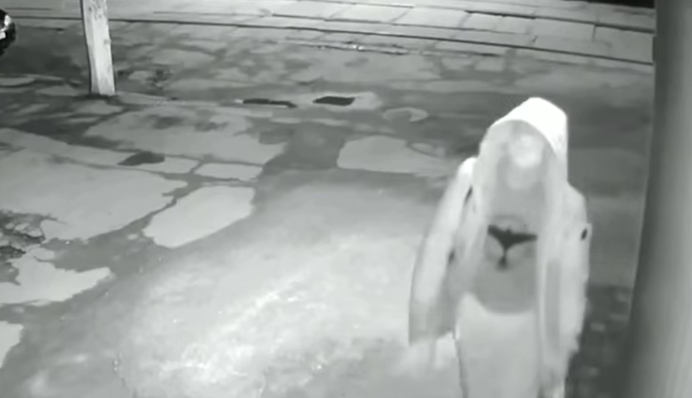 У Києві злодій відзначився зухвалою витівкою і 