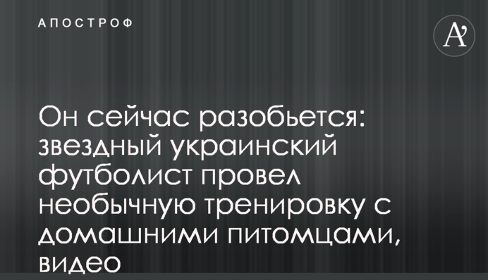 Він зараз розіб'ється: зоряний український футболіст провів незвичне тренування з домашніми вихованцями, відео