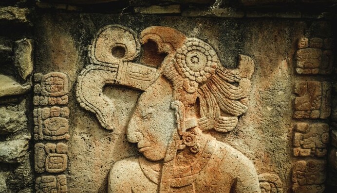 Ученые раскрыли тайну жизни 