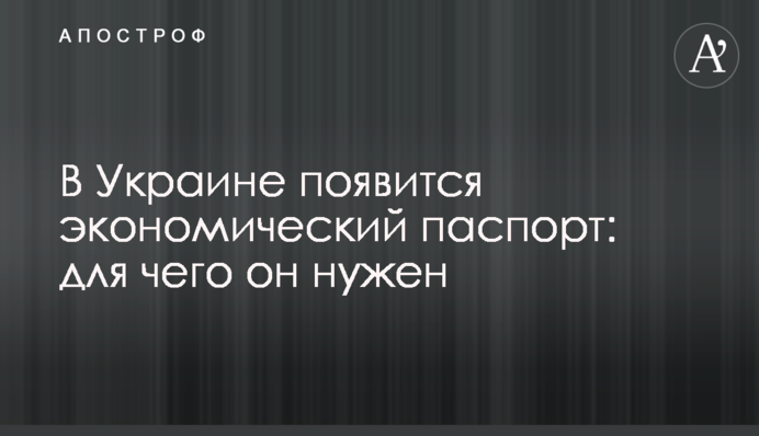В Украине появится экономический паспорт: для чего он нужен