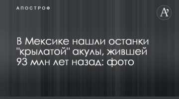 В Мексике нашли останки "крылатой" акулы, жившей 93 млн лет назад: фото