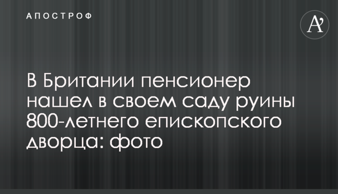 У Британії пенсіонер знайшов у своєму саду руїни 800-річного єпископського палацу: фото