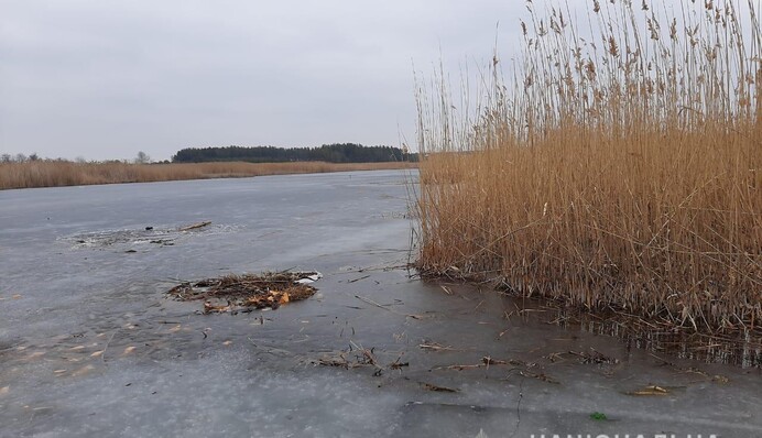 Намагався врятувати собаку: під Харковом трагічно загинув підліток