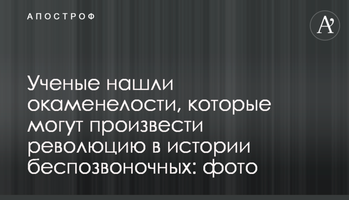 Ученые нашли окаменелости, которые могут произвести революцию в истории беспозвоночных: фото