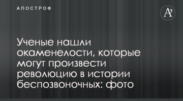 Вчені знайшли скам'янілості, які можуть зробити революцію в історії безхребетних: фото