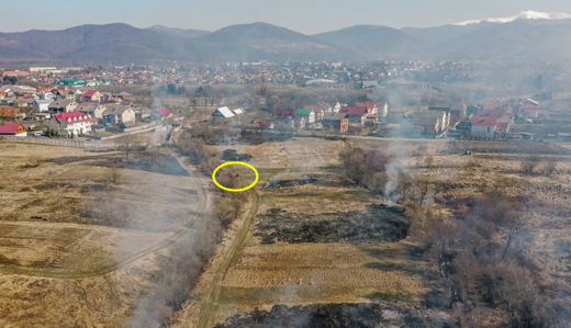 На Закарпатье на поджигателей травы 