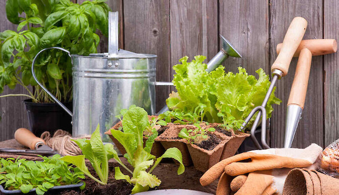 Посевной календарь 2021: когда и что лучше сажать в апреле