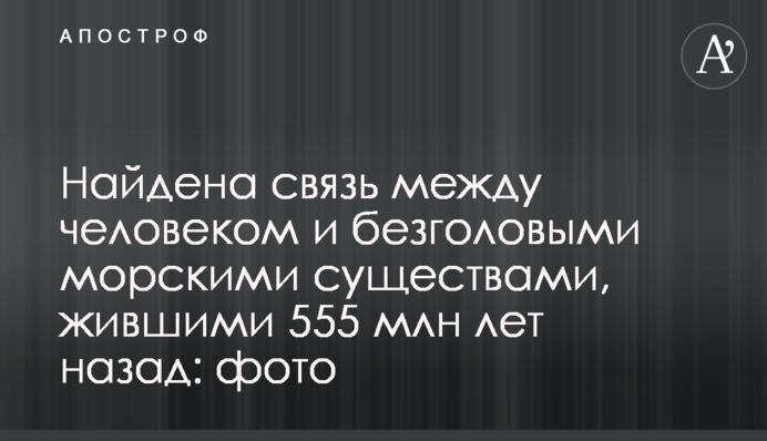 Знайдено зв'язок між людиною і безголовими морськими істотами, що жили 555 млн років тому: фото