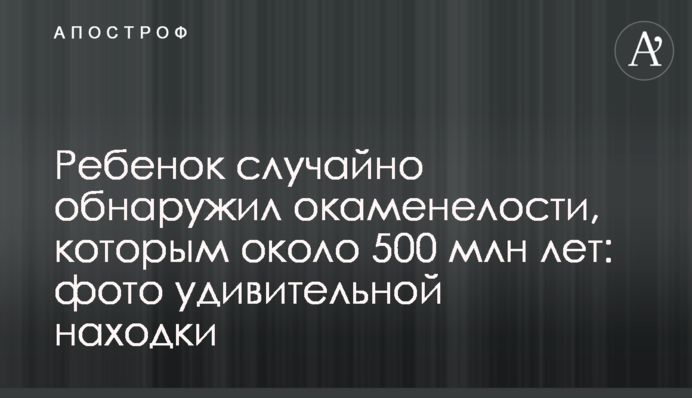 Ребенок случайно обнаружил окаменелости, которым около 500 млн лет: фото удивительной находки