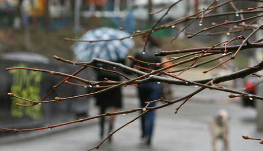 Справжній калейдоскоп: синоптики прогнозують в понеділок погоду на будь-який смак