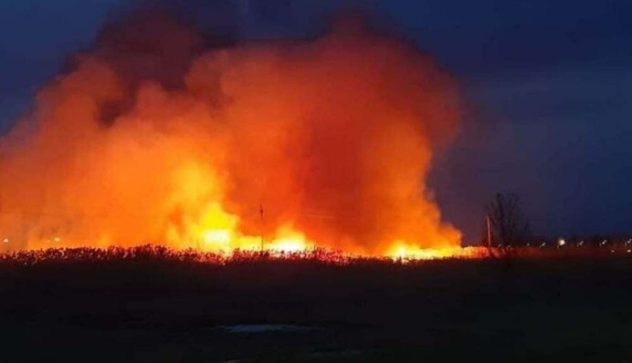 Под Одессой вспыхнул масштабный пожар у озера: спасатели победили огонь, видео