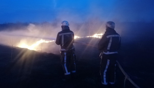 У Київській області палії трави 