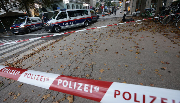 В Австрії з ножем напали на підлітків з України: що відомо