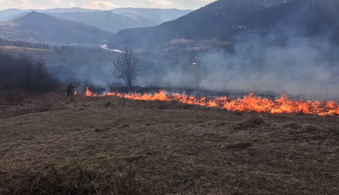 Прийшла весна, село прокинулося: в Україні почався сезон трав'яних пожеж