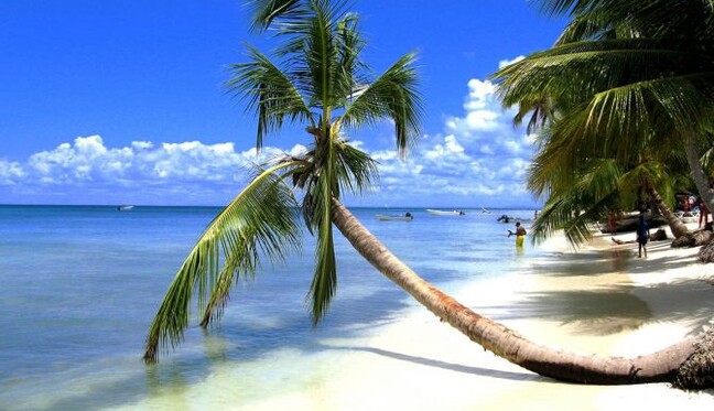 Итальянского мафиози выдала страсть к отечественной кухне, видео