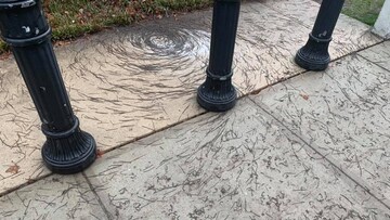 Ученых озадачило "торнадо из червей" в США: фото странного явления