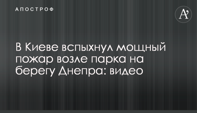 У Києві спалахнула потужна пожежа в парку на березі Дніпра: відео