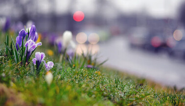 Снова снег и дожди: синоптики дали детальный прогноз погоды на начало недели в Украине