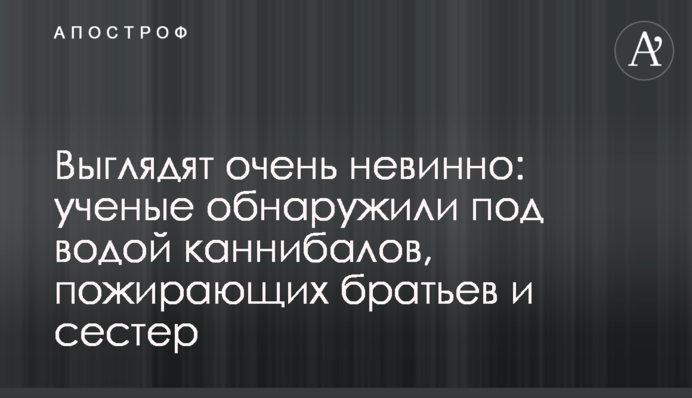 Выглядят очень невинно: ученые обнаружили под водой каннибалов, пожирающих братьев и сестер