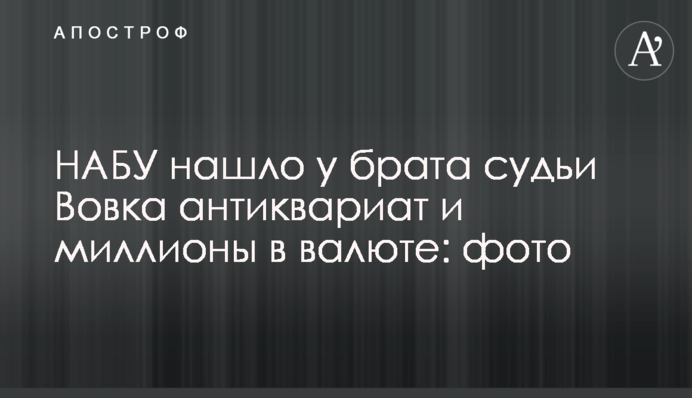 НАБУ нашло у брата судьи Вовка антиквариат и миллионы в валюте: фото