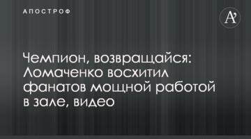 Чемпион, возвращайся: Ломаченко восхитил фанатов мощной работой в зале, видео