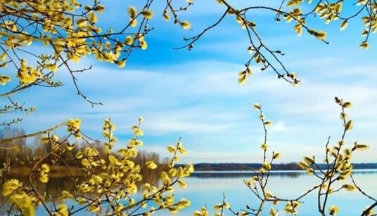 Когда в Украине прояснится небо и закончатся снегопады: синоптик назвала дату