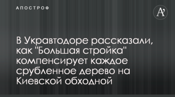 В Укравтодорі розповіли, як "Велике будівництво" компенсує кожне зрубане дерево на Київській обхідній