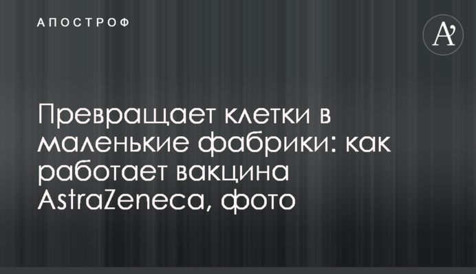 Превращает клетки в маленькие фабрики: как работает вакцина AstraZeneca, фото