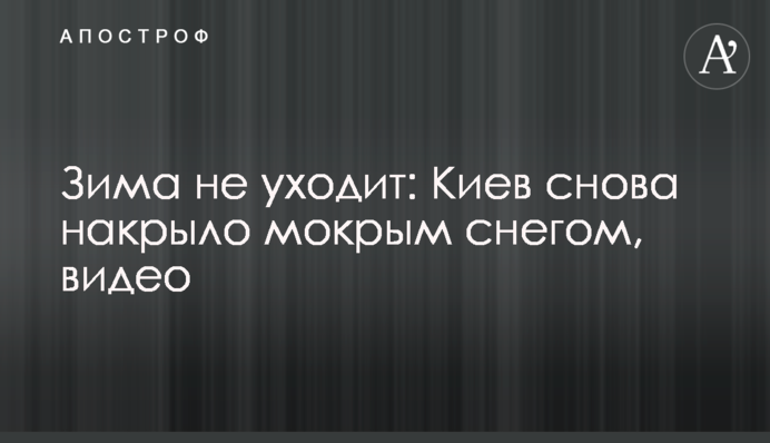 Зима не уходит: в Киеве 7 апреля пошел снег, видео