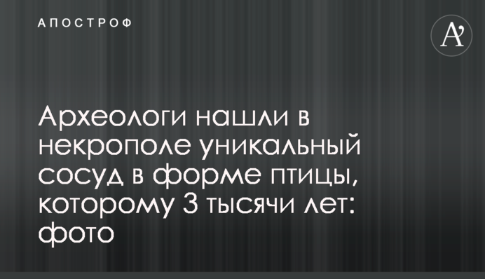 Археологи нашли в некрополе уникальный сосуд в форме птицы, которому 3 тысячи лет: фото