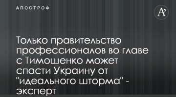 Только правительство профессионалов во главе с Тимошенко может спасти Украину от "идеального шторма" - эксперт
