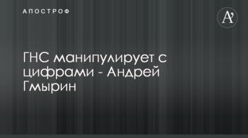 ДПС маніпулює з цифрами - Андрій Гмирін